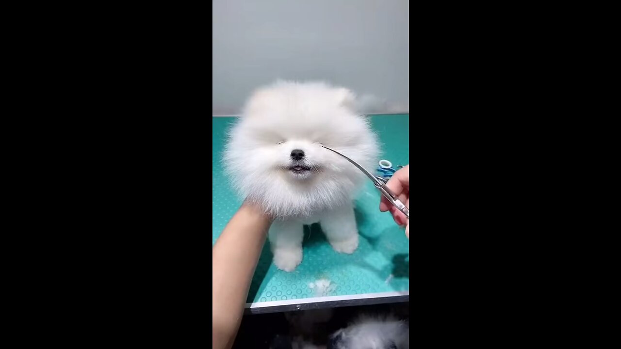 Cutee