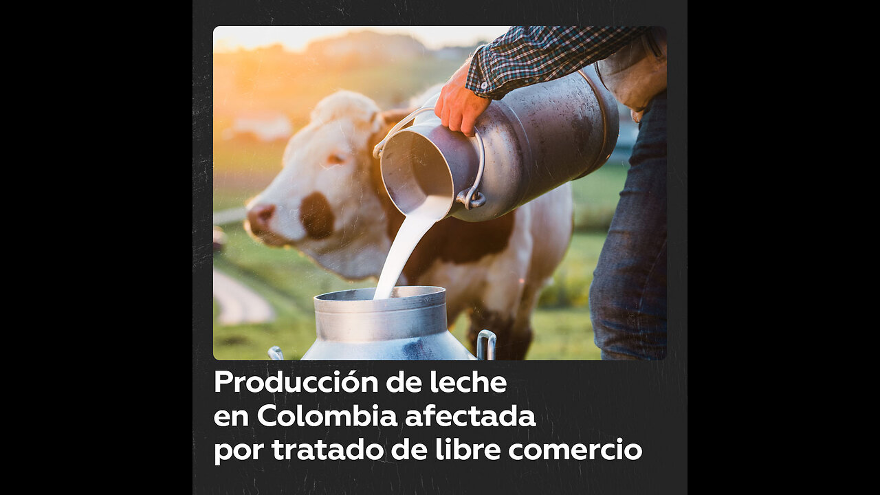 Tratado de libre comercio con EE.UU. afecta la producción de leche en Colombia