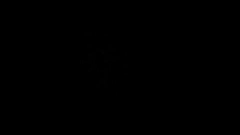 Black equity