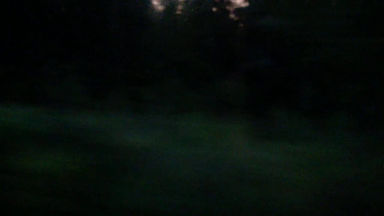 WP 20190728 22 21 09 Pro