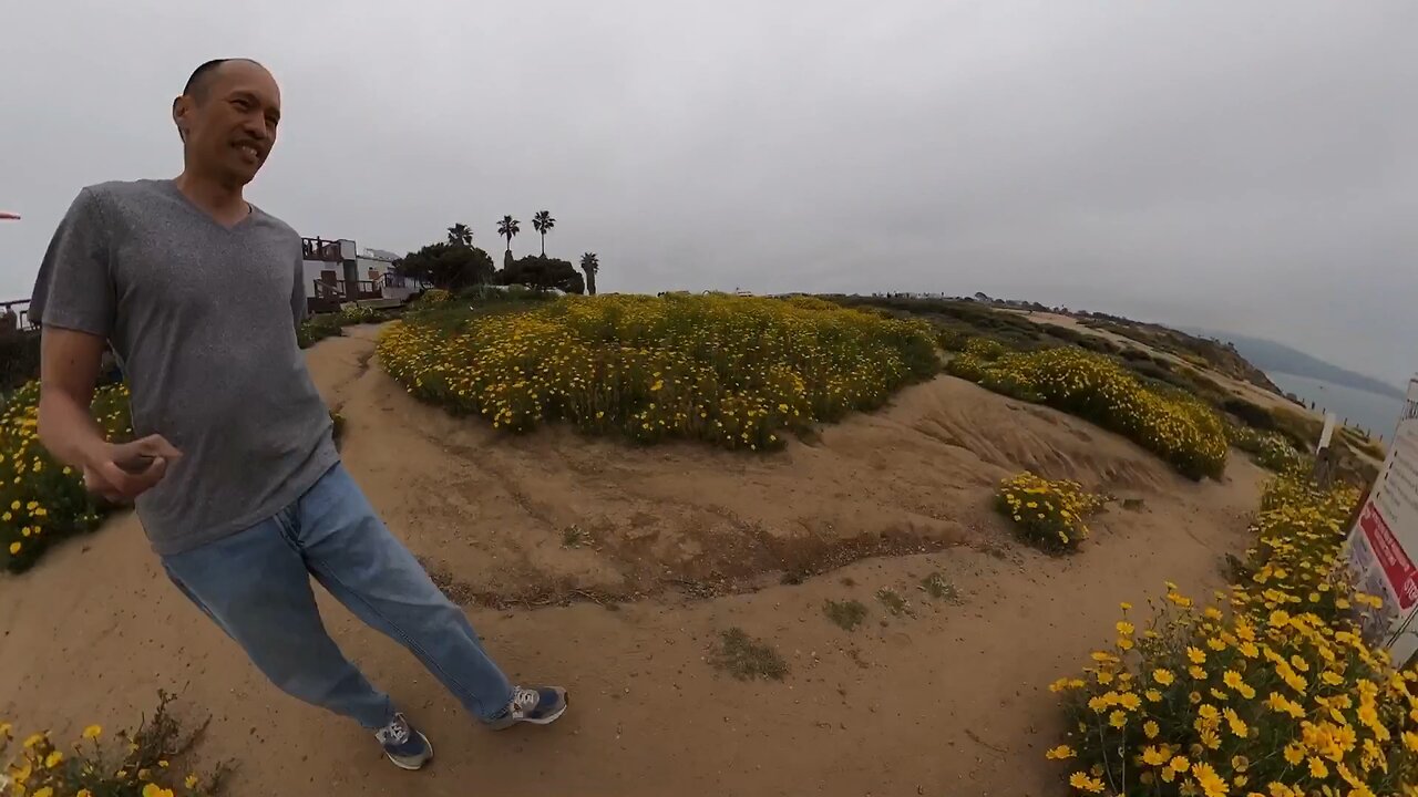 Blasian Babies DaDa Hikes Around Torrey Pines GliderPort With Buddy Watching ParaGliders (GoPro Max)