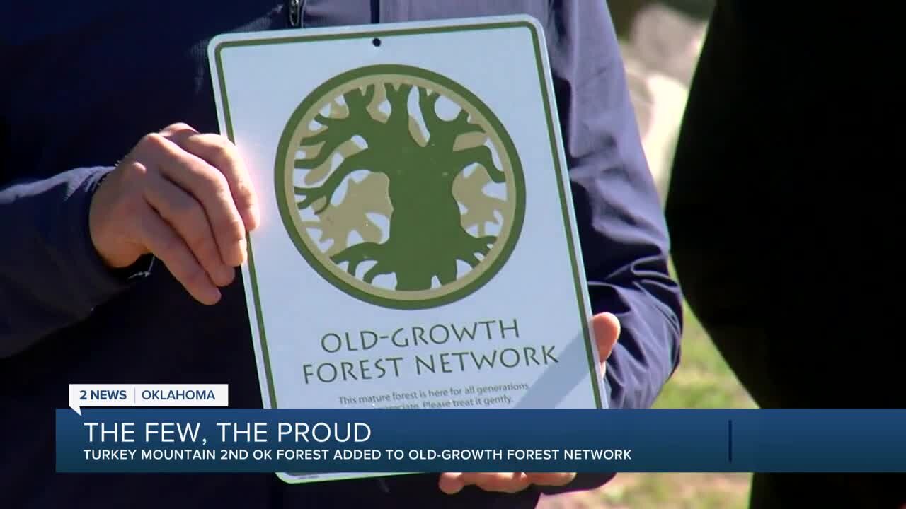 Turkey Mountain inducted into Old-Growth Forest Network