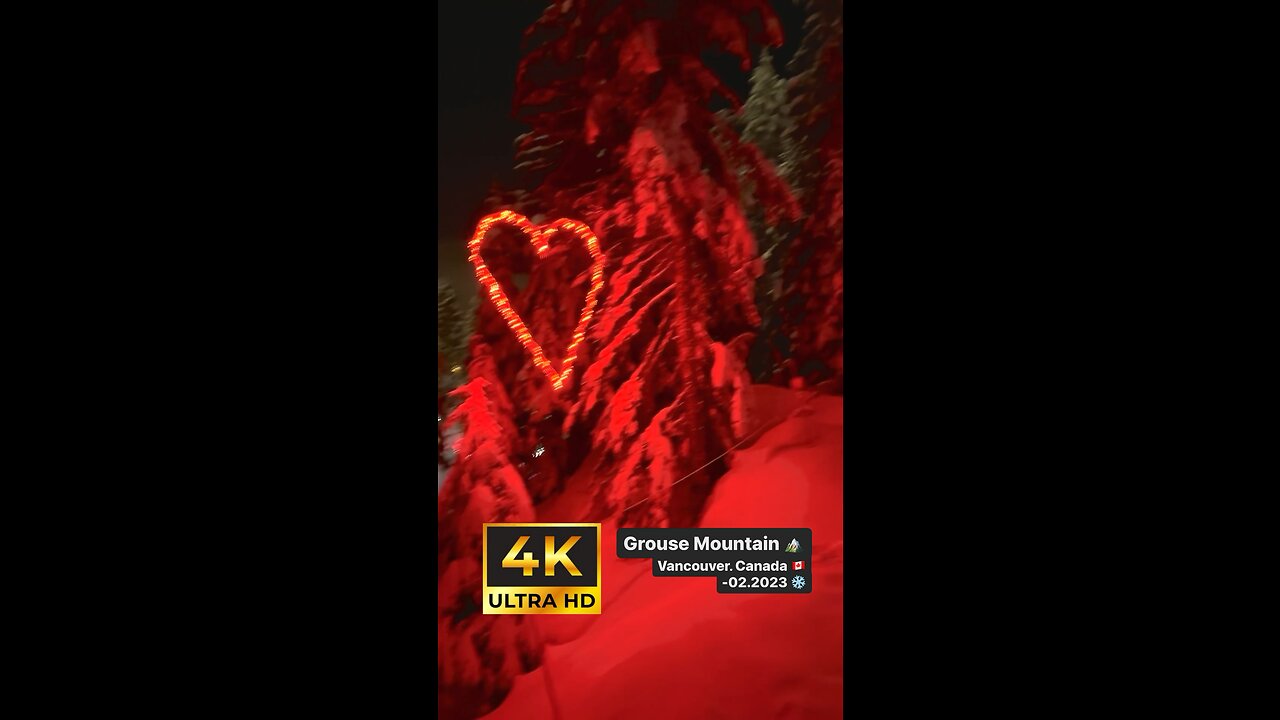 Grouse Mountain 🏔️ Vancouver 🇨🇦 | 02.2023 ❄️✨🍁🥃☃️ #northvancouver