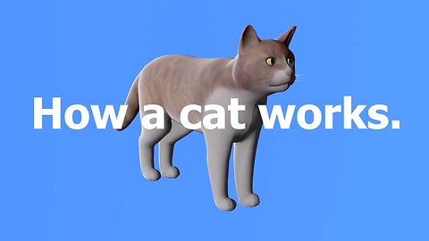 How A Cat Works 🐱