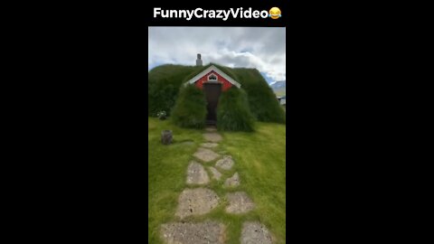 Mr FunnyCrazyVideo😂 Just Incredible Video Funny and Crazy #Like Follow for Follow 🥰