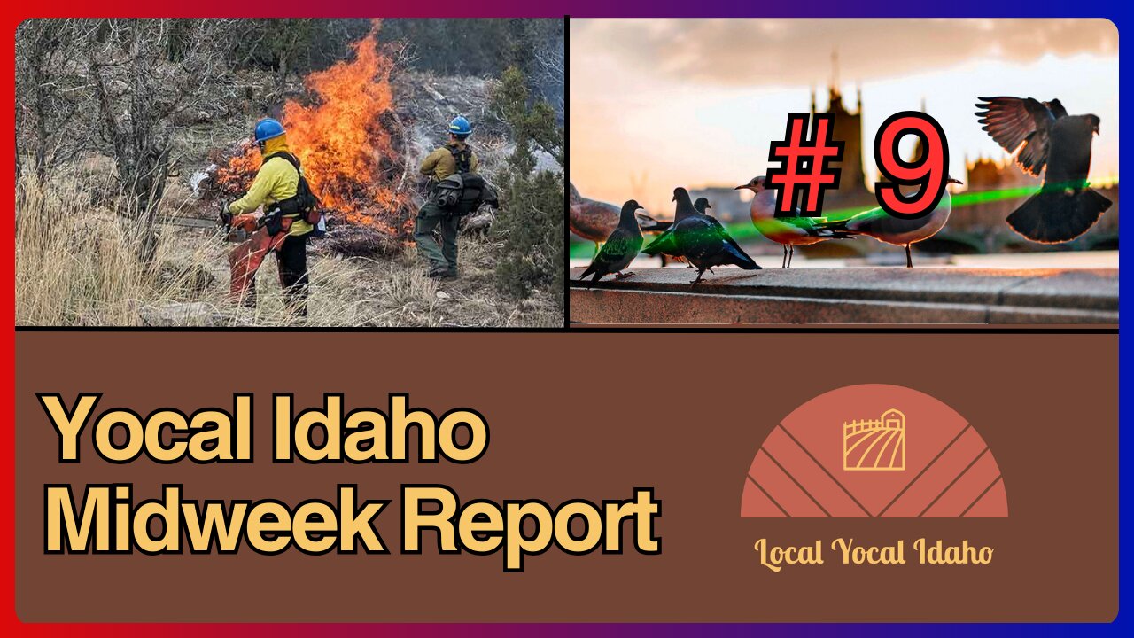 Yocal Idaho Midweek Report #9 - Feb 21