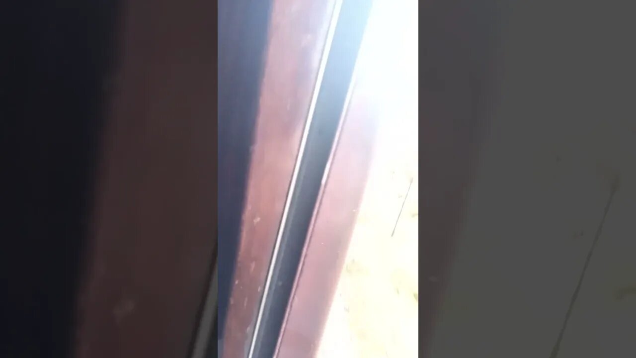 Smokey train