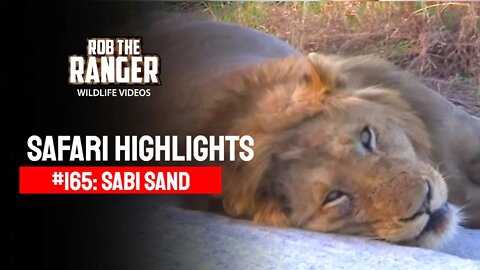 Safari Highlights #165: 25 - 28 Sep 2012 | Sabi Sand Nature Reserve | Latest Wildlife Sightings