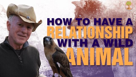 How To Have A Relationship With A Wild Animal | Steve Karlin