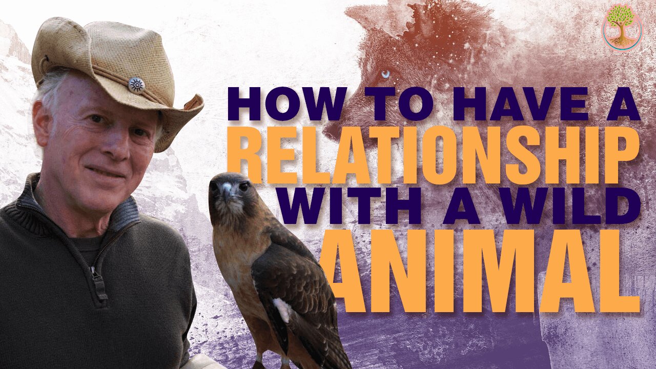 How To Have A Relationship With A Wild Animal | Steve Karlin