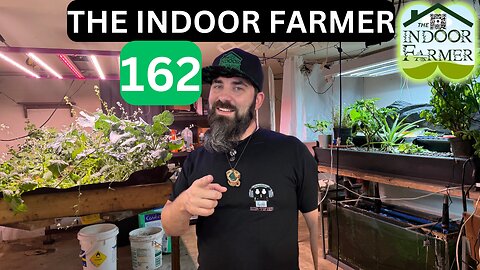 The Indoor Farmer ep162, I Think We Took Care Of Our Pests + More Basil!