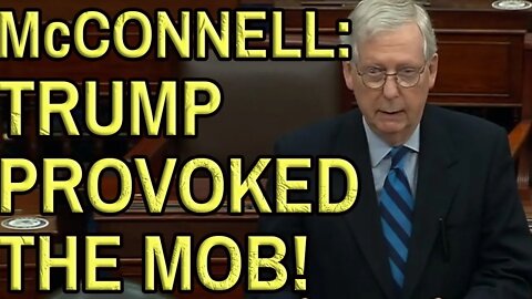 MITCH McCONNELL: TRUMP TO BLAME FOR MOB on January 6th Storm the Capitol. On the Senate floor.