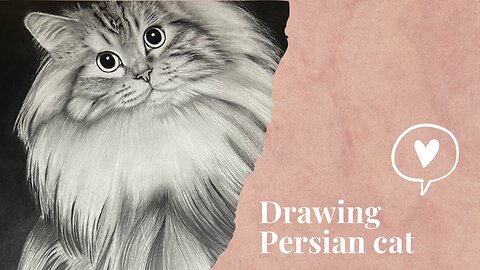 Drawing Persian cat