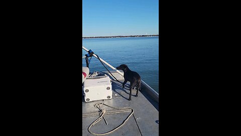 Boat Rocky this is how he likes to ride.