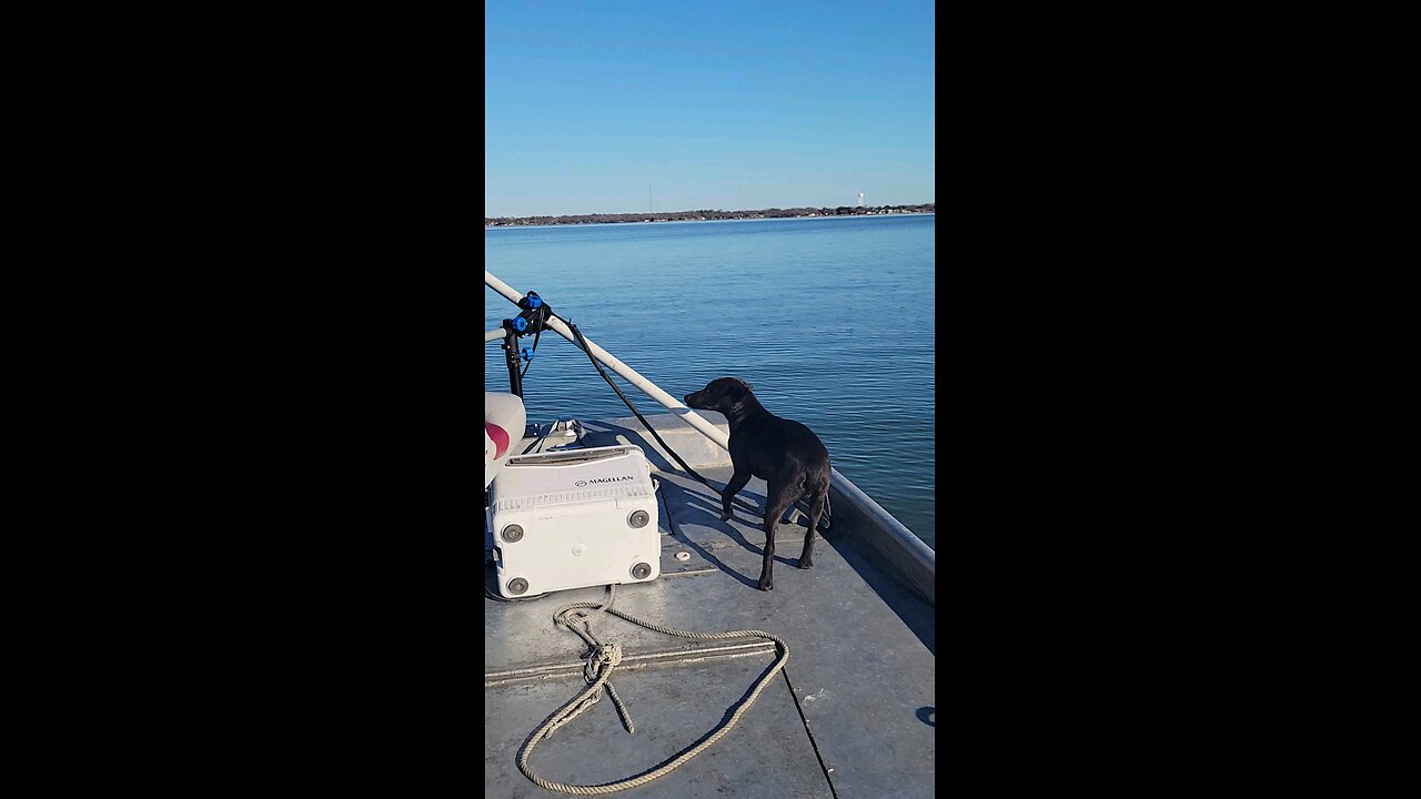 Boat Rocky this is how he likes to ride.