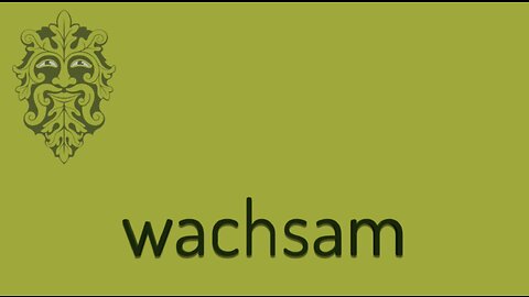 wachsam