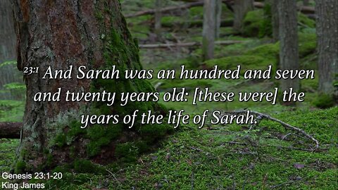 Sunday Evening, August 14th