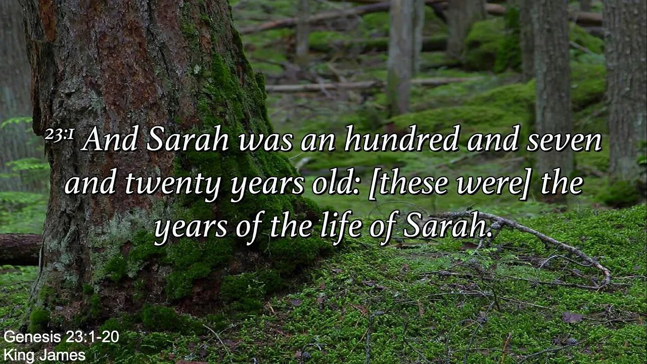 Sunday Evening, August 14th