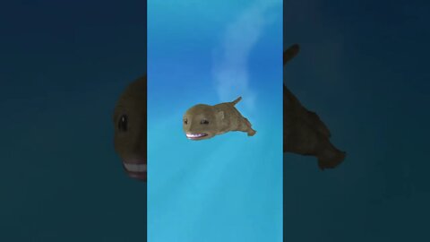 evolução humana em 9 secundos #shorts