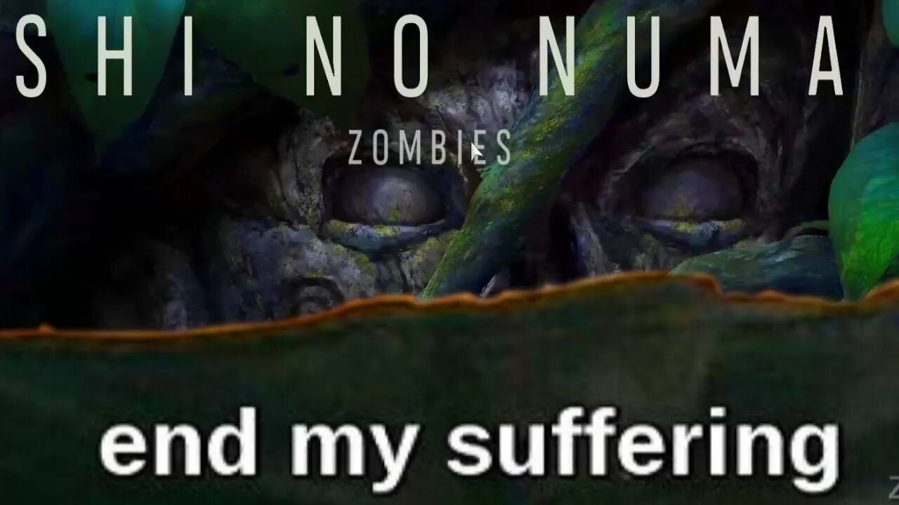 COD ZOMBIES IN 2023 *REAL*