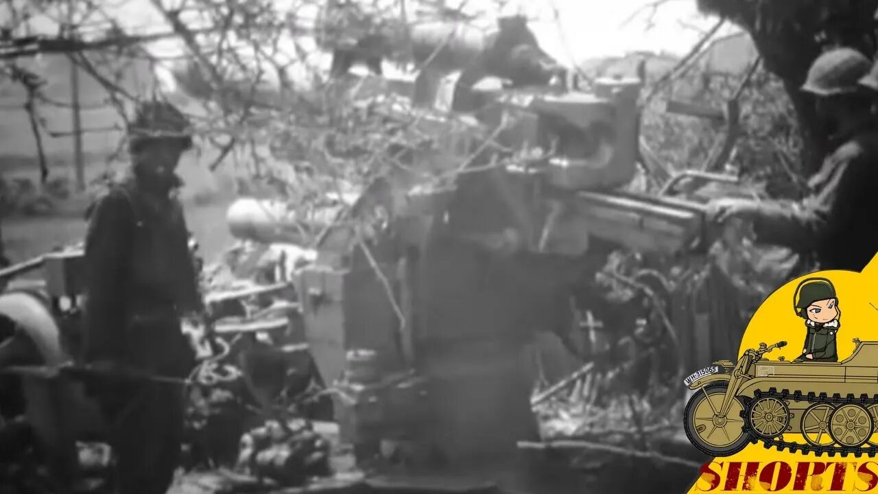 79th Infantry Division blowing up ammo and looking at destroyed 88MM #shorts 55