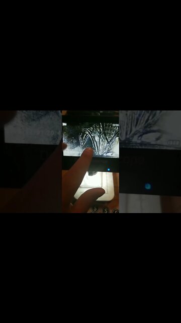 Rare state quarter to look for in your pocket change! #coin #money #shorts