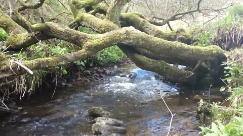 Merridale Slaithwaite in the Holme Valley