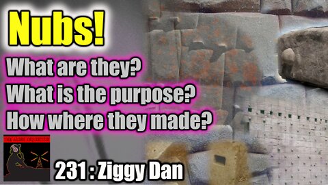 231 - Ziggy Dan : Mystery of The Ancient Nubs