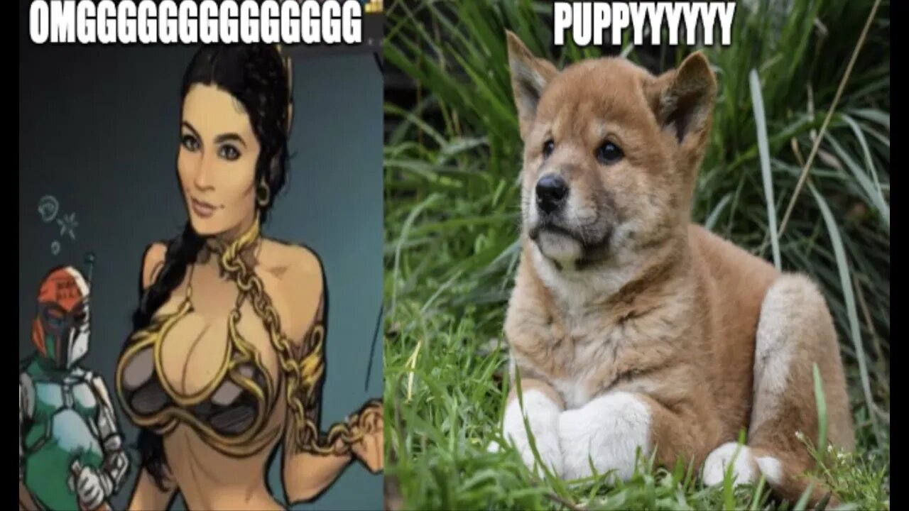 That Star Wars Girl DESTROYS our eardrums after seeing the cutest baby dingoes