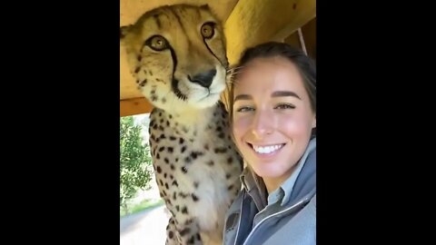 Cheetah Boop