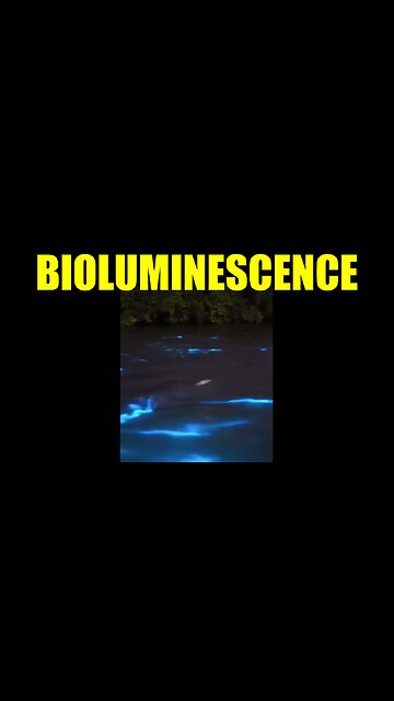 Bioluminescence