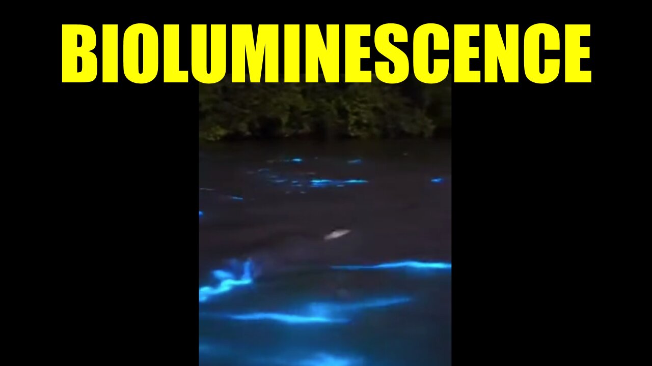 Bioluminescence