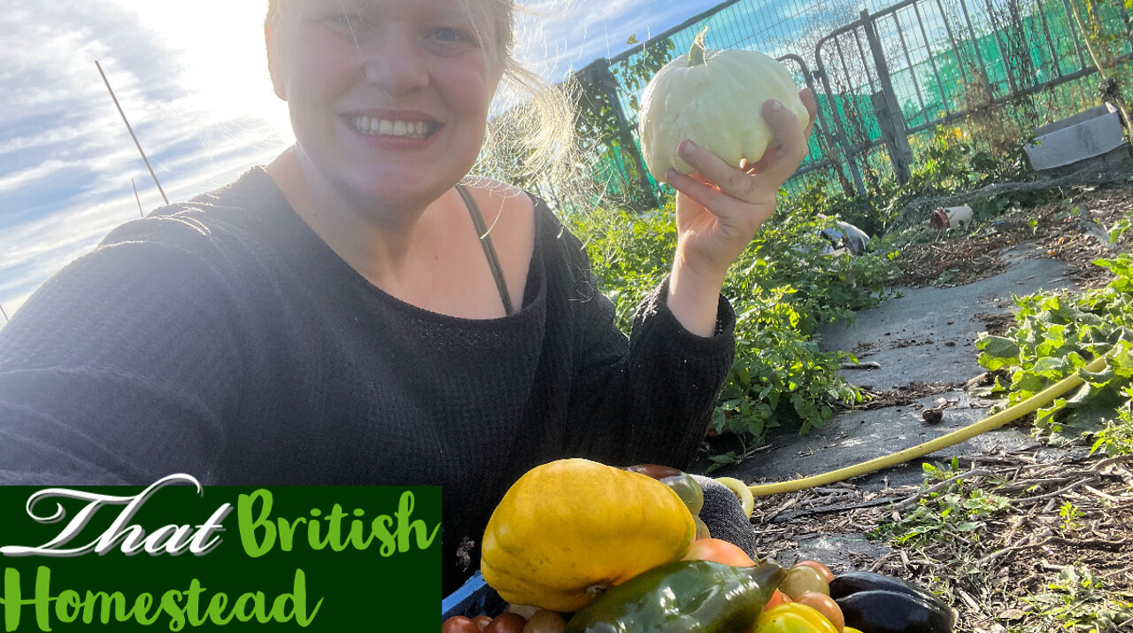 October Allotment Harvest: It still coming in!!