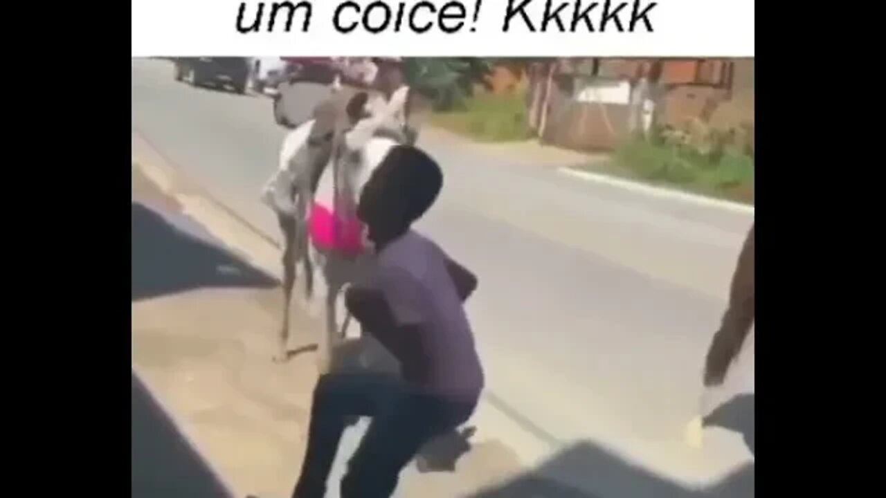 JA PENSOU SE PEGA UM COICE ( MEME ) ( DANCINHA ) ( VIRAL ) #shorts