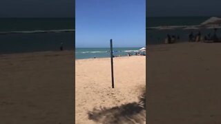 PRAIA DE BOA VIAGEM RECIFE AMEI ESSA VIAGEM 🥰✈️🥰