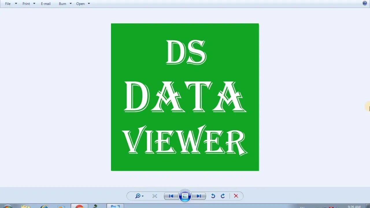 DS Data Viewer