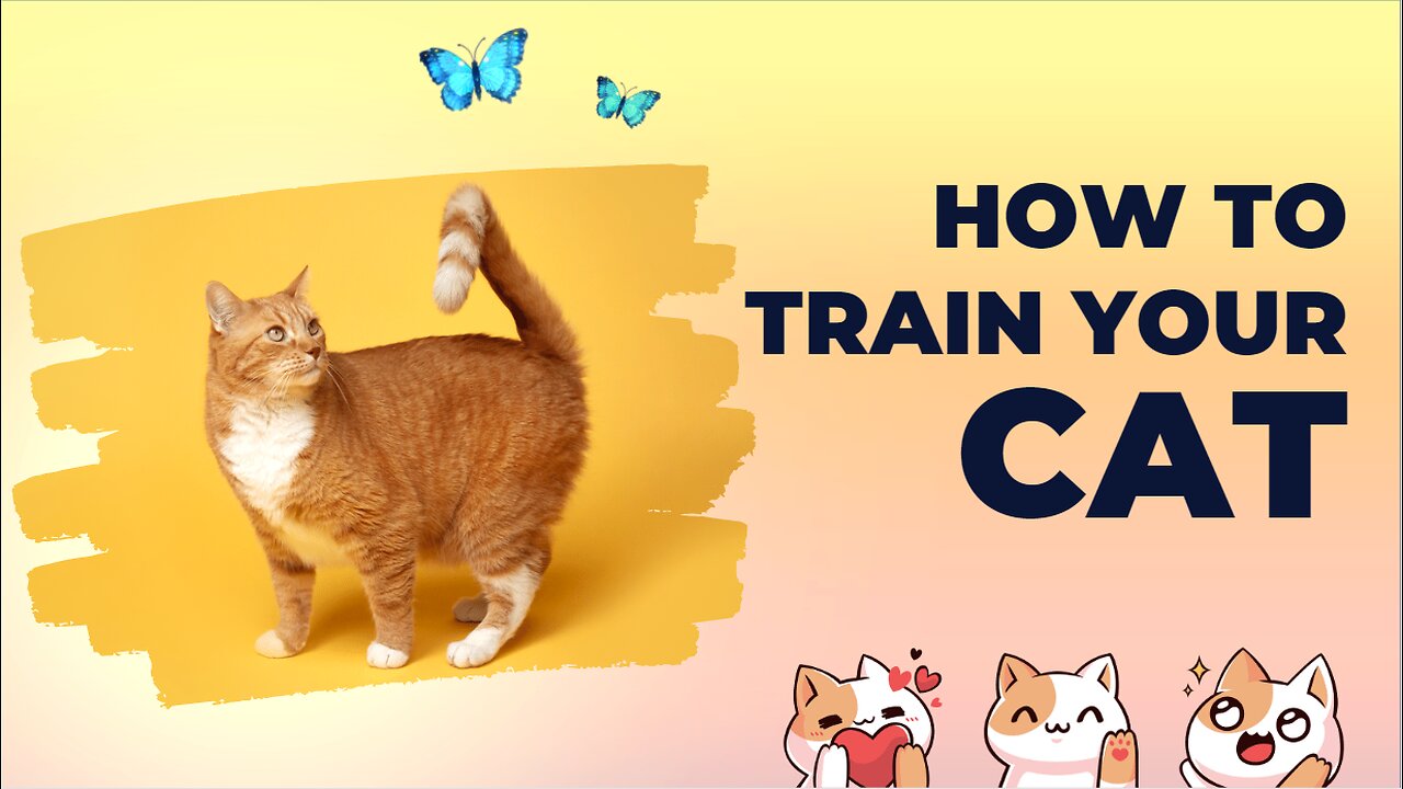 How to train your cat?