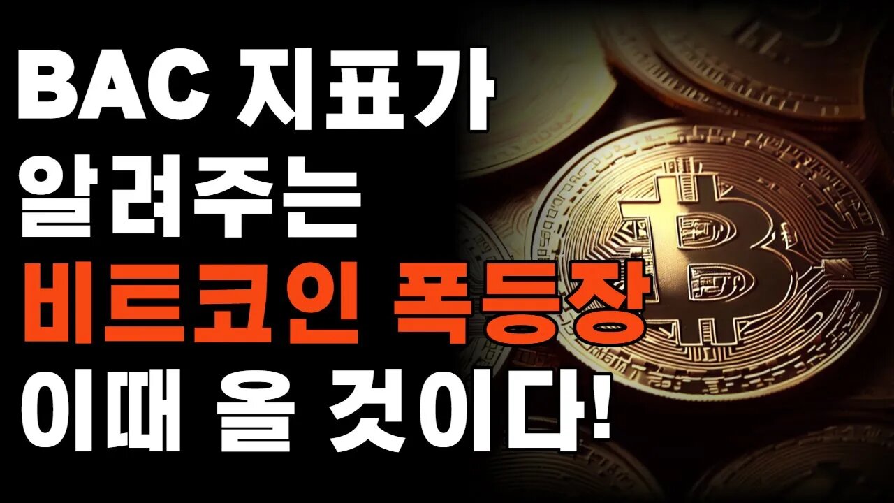 비트코인 가격은 이 정도가 적당하다! 폭등장은 언제?|쩔코TV 10월6일