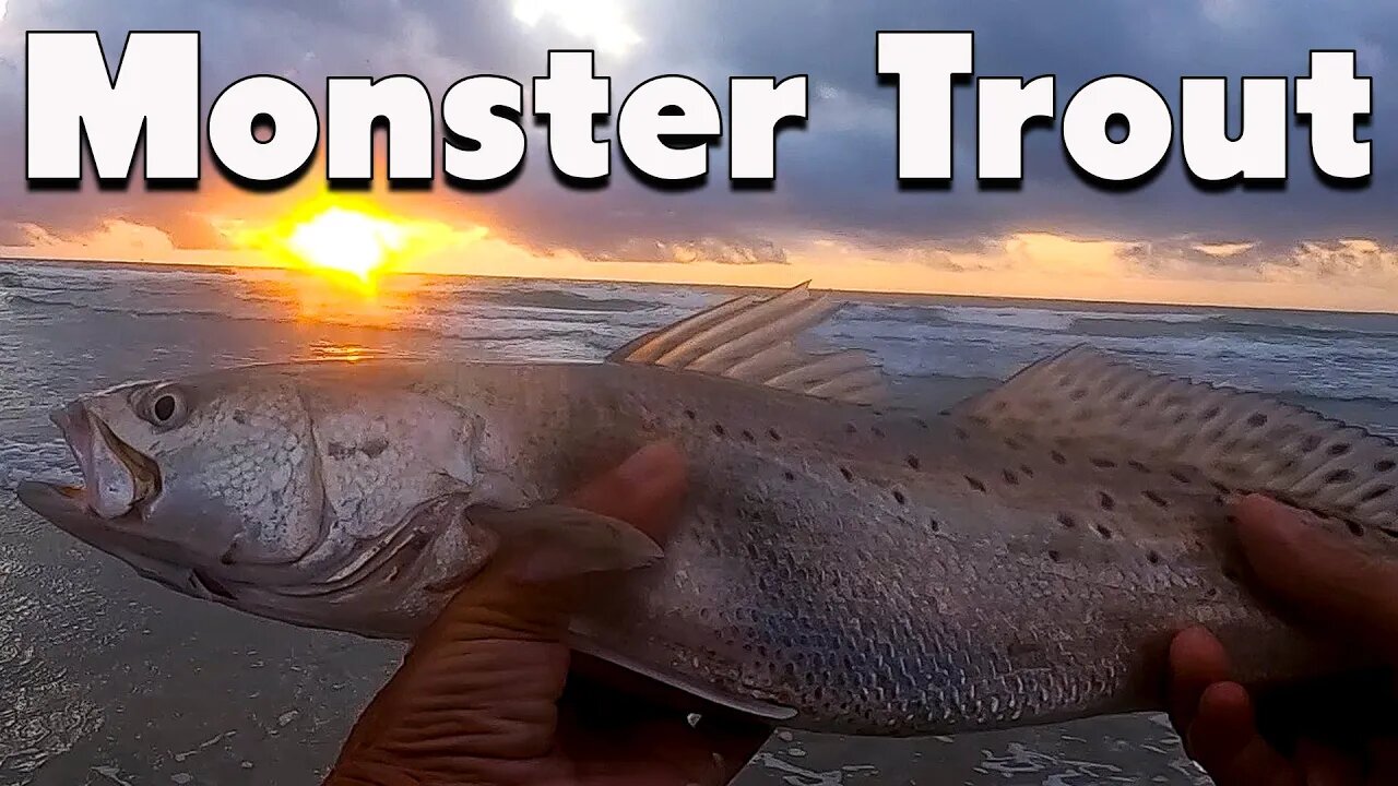 Monster trout CATCH AND COOK-Port Aransas Texas