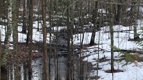 River at the joint property