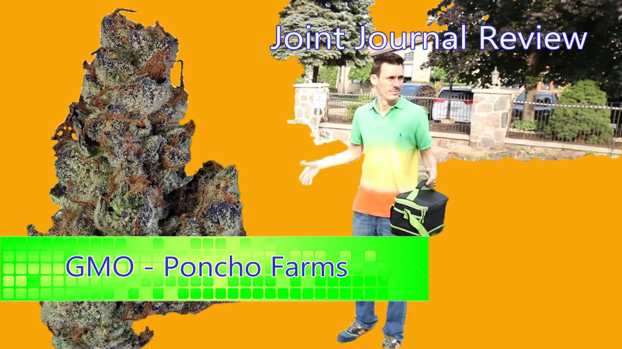 Kushector Joint Journal Review - GMO by: Poncho Farms