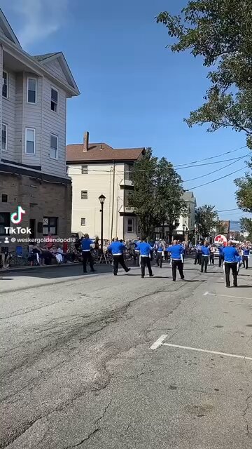 Amigos De Rabo De Peixe Sao Miguel