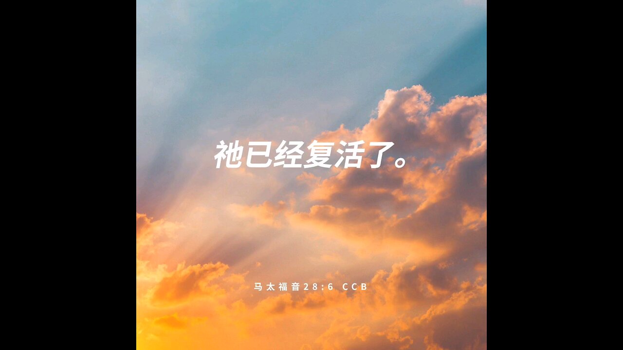 分享今日经文。 愿主与我们同在。 阿门