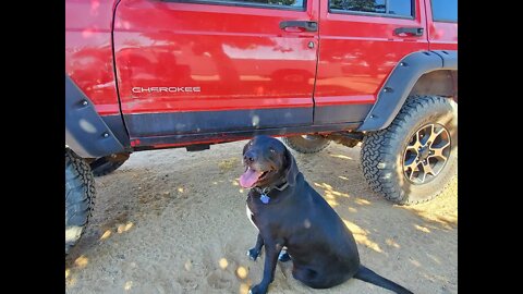 Fan requested video: Around our ranch featuring Gunner the dog