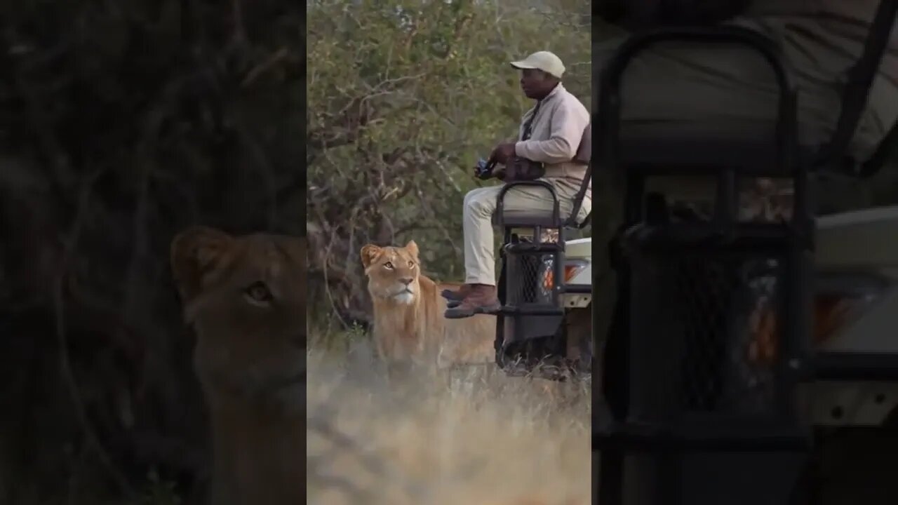 For a moment he froze! OMG 🤣🤣