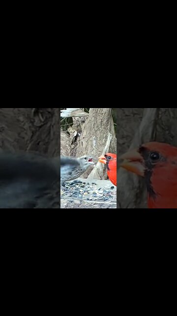 Love is Love ❤️ 🙌