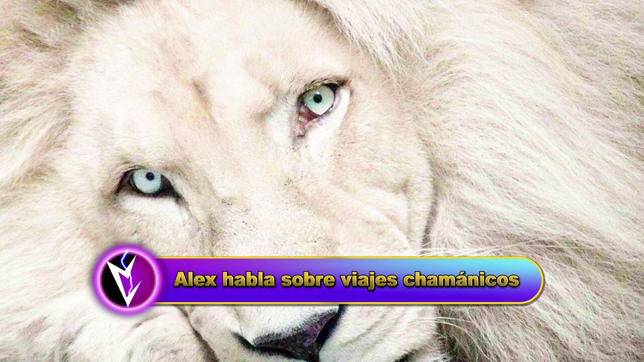 Alex habla sobre viajes chamánicos