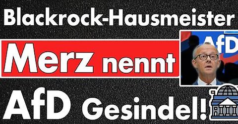 AfD Gesindel soll verschwinden! Blackrock CDU Friedrich Merz unwählbar, ignoriert jeden 5. Wähler