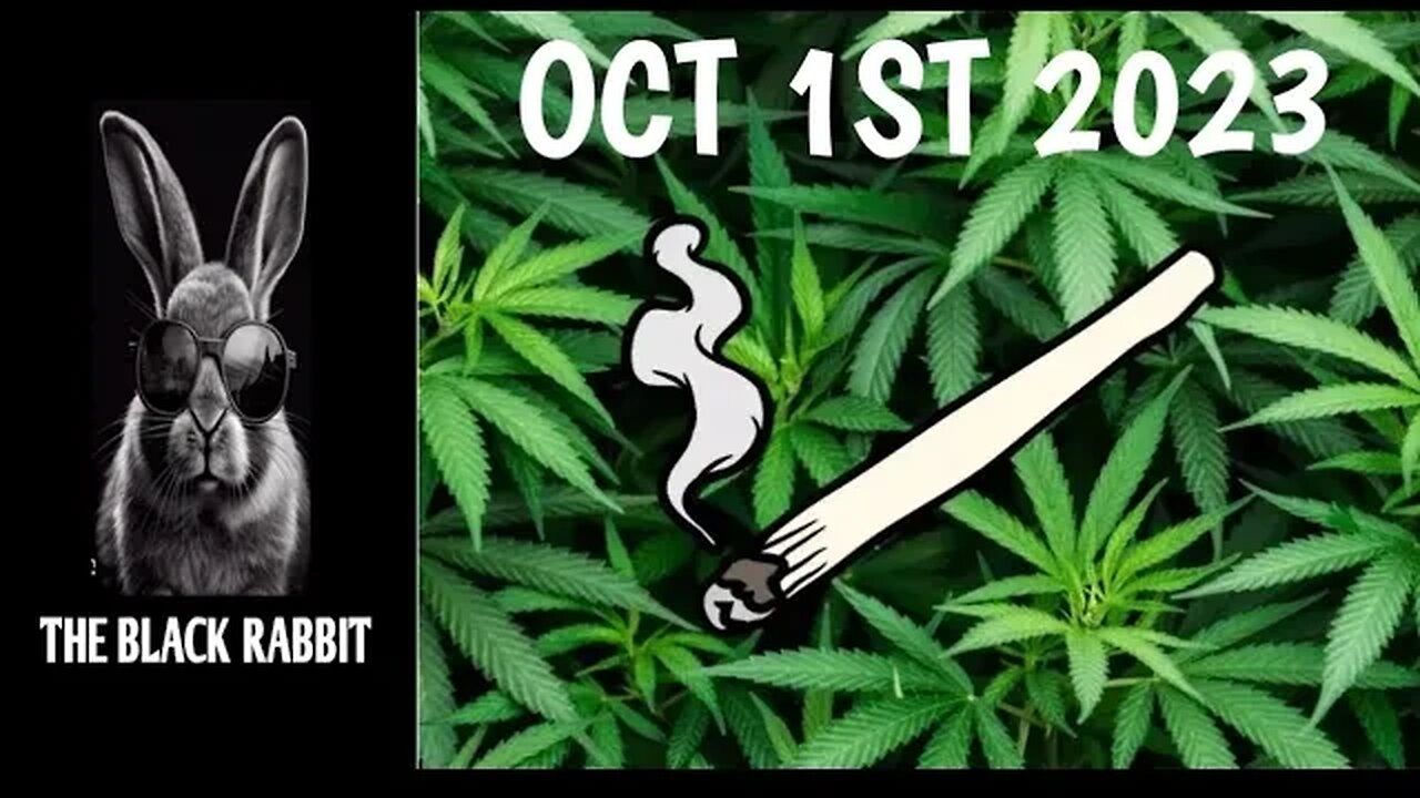 OCTOBER 1ST 2023 STATE OF MICHIGAN WILL OFFICALLY DROPPING MARIJUANA DRUG TESTING FOR SOME NEW-HIRES