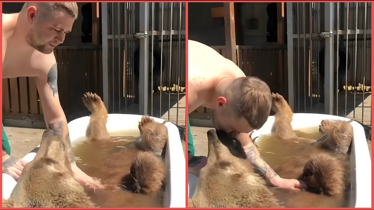 Man Finds BEAR in his BATHTUB